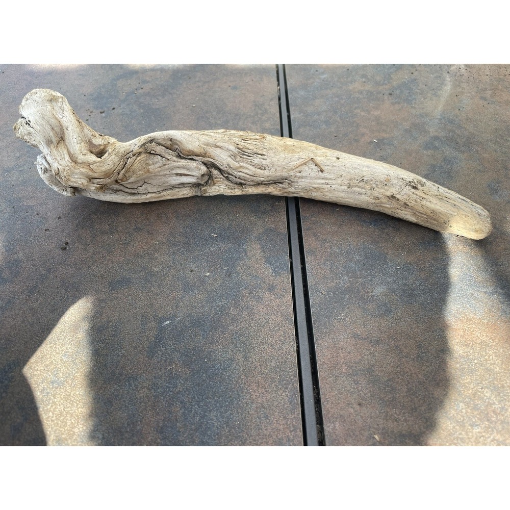 Natural Driftwood for Plants Terrarium Taxidermy Art Projects - Picture 3 of 5